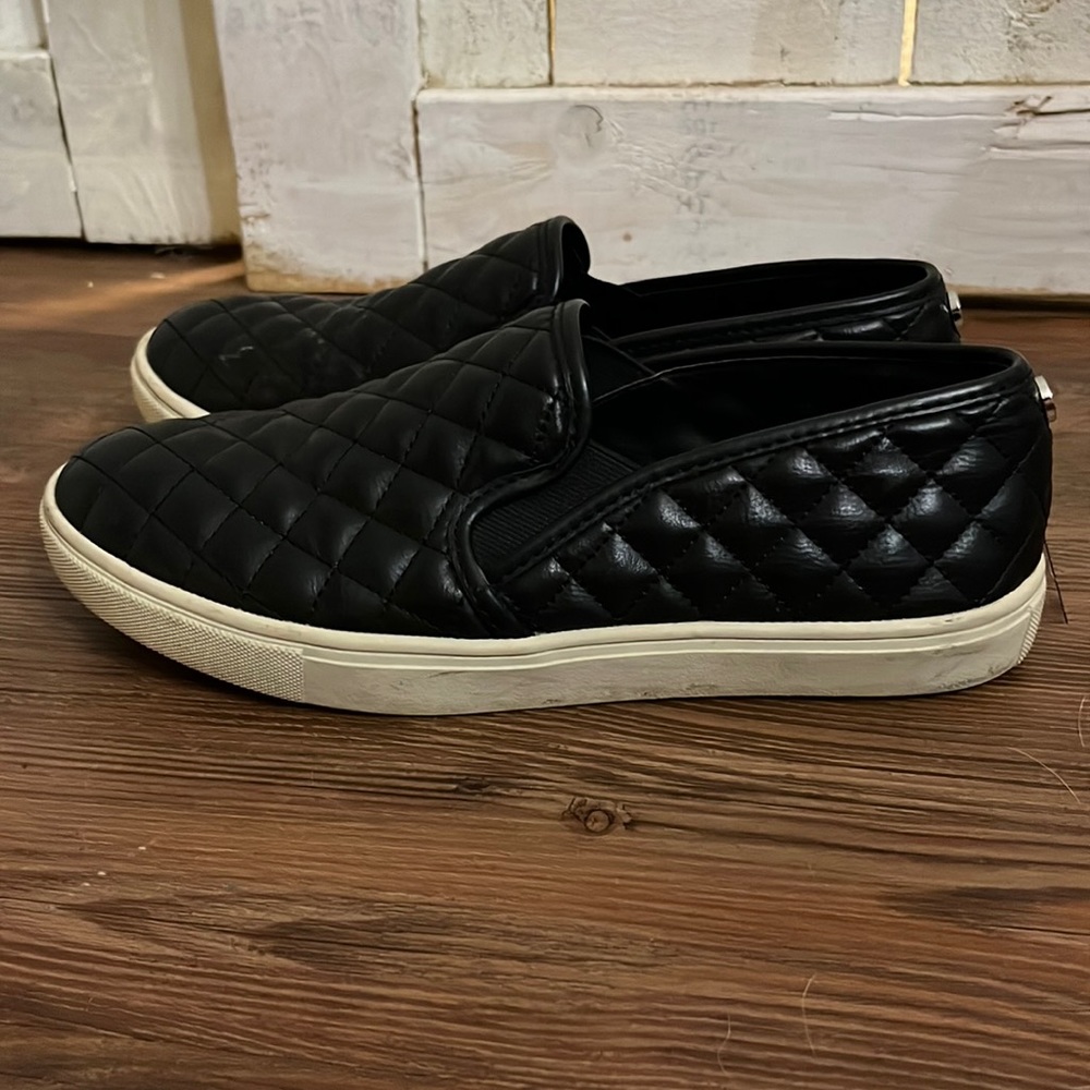steve maddens